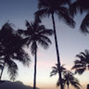 Meet your Posher, Amelie